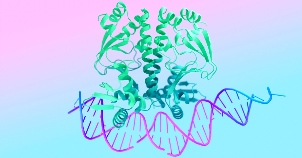 Google Unveils AI for Predicting Behavior of Human Molecules