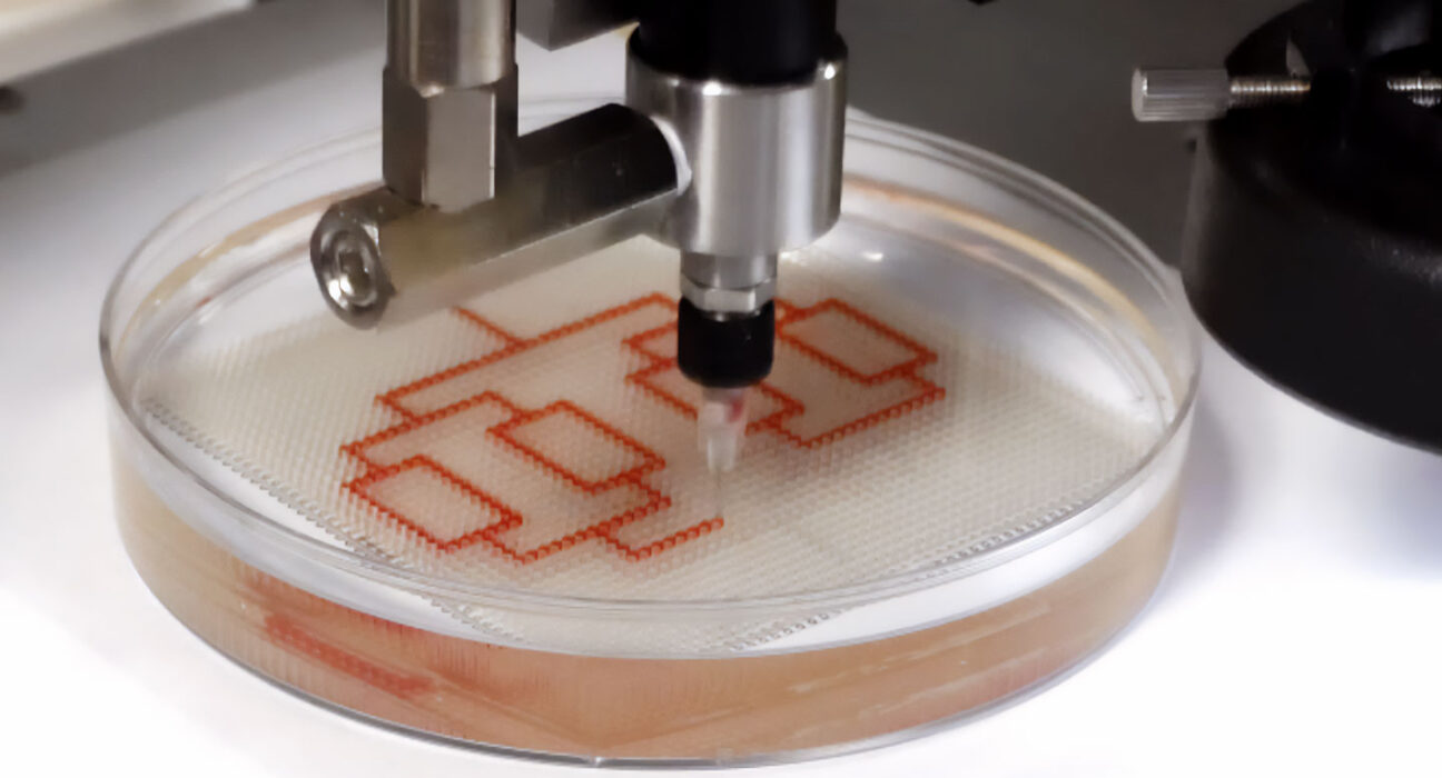 a dropper builds tiny channels of liquid in a petri dish