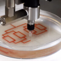 a dropper builds tiny channels of liquid in a petri dish