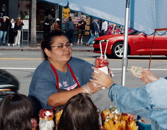 Along the Hollywood Walk of Fame, a Struggle to Make a Living