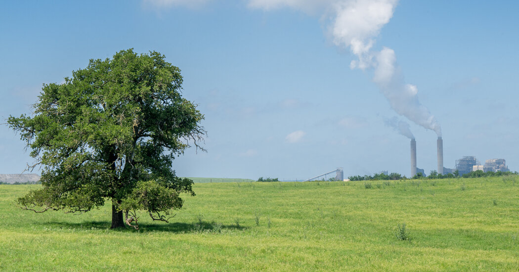 A String of Supreme Court Decisions Hits Hard at Environmental Rules