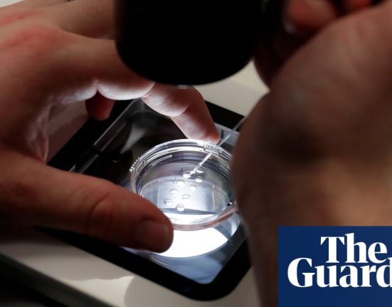 Fertility drug could lead to 7% increase in live births after IVF, trials show | IVF