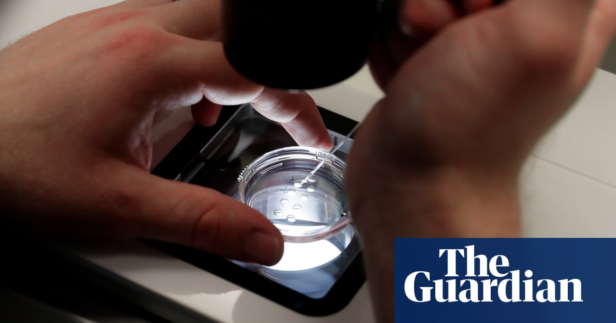 Fertility drug could lead to 7% increase in live births after IVF, trials show | IVF