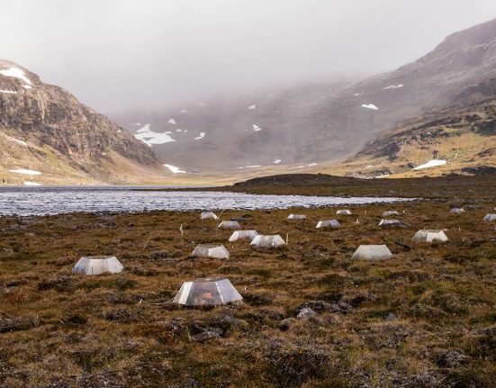 More than a dozen plastic containers dot the greenish-brown vegetation in the foreground of this Arctic tundra site in Sweden. A body of water and mountains shrouded in mist are visible in the background.