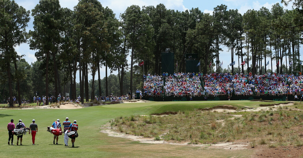 U.S. Open: At Pinehurst, the Caddies Are Key