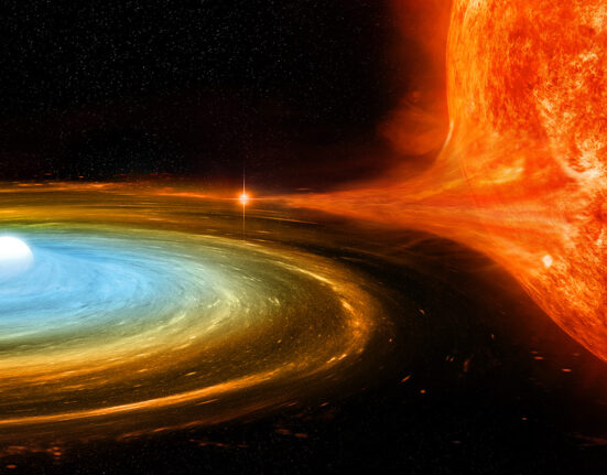 A tiny white dwarf star, surrounded by a swirl of material, is siphoning more material from a nearby fiery-looking red giant star in this illustration.