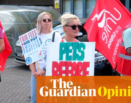 The Guardian view on striking vets: standing up for all creatures great and small | Editorial