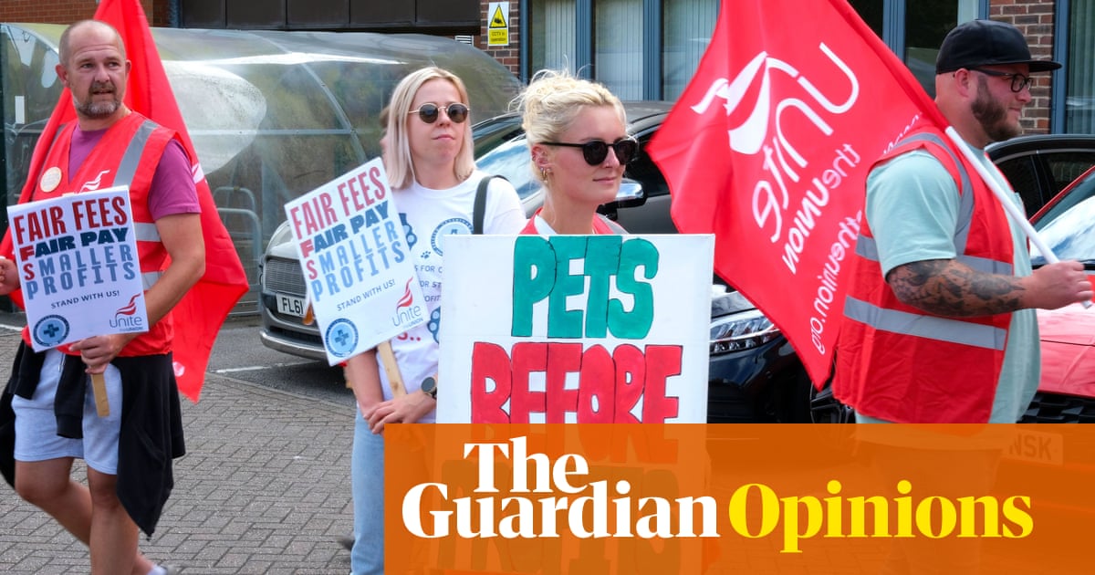 The Guardian view on striking vets: standing up for all creatures great and small | Editorial