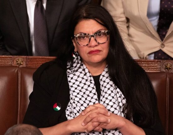 Tlaib criticizes Democrats for not wanting to 'hear' from Palestinian voices