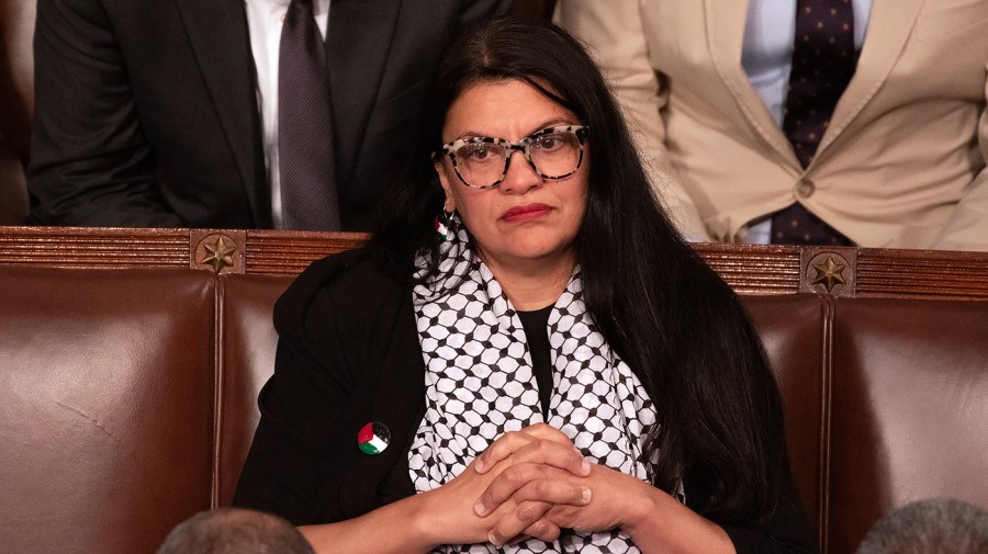 Tlaib criticizes Democrats for not wanting to 'hear' from Palestinian voices