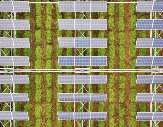 Can solar farms and crop farms coexist?