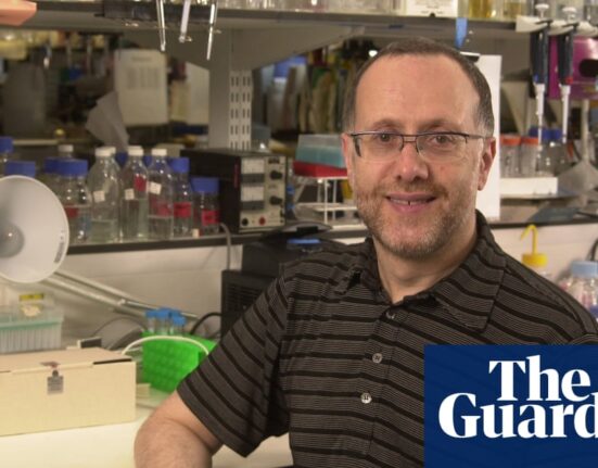 David Ish-Horowicz obituary | Cancer research