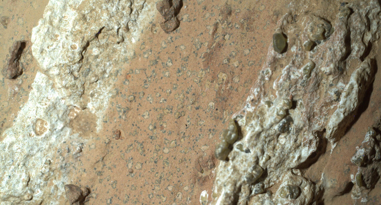 An image of a rock on Mars taken by the NASA rover Perseverance. Rocky white stripes flank a clay-colored area that is speckled with dark spots.