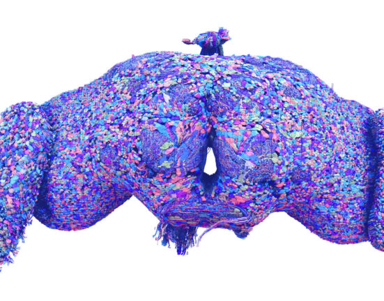 Digital reconstructions of blue, pink and purple cells make up a fruit fly brain, which is on a white background.