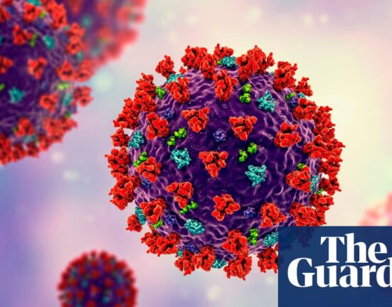 Severe Covid infections can inflame brain’s ‘control centre’, research says | Coronavirus