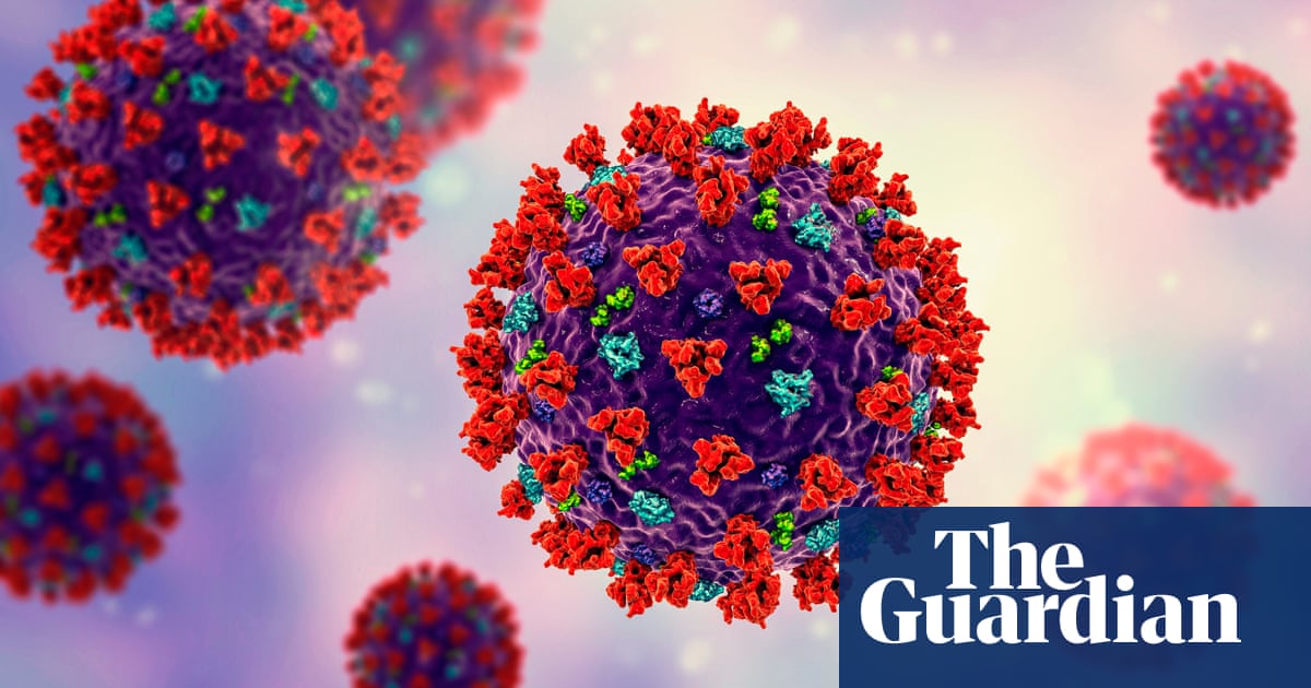 Severe Covid infections can inflame brain’s ‘control centre’, research says | Coronavirus