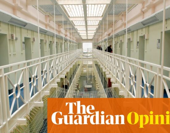 The Guardian view on prison reform: Labour must champion alternatives | Editorial