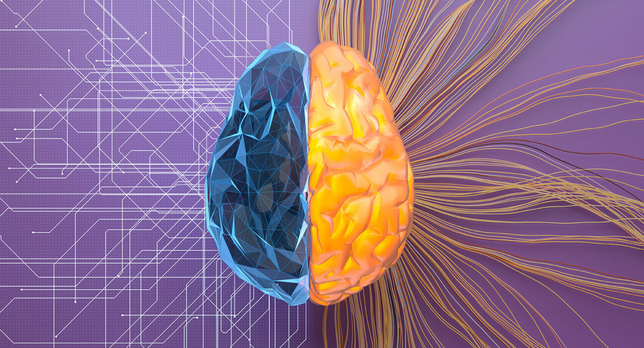 an illustration of the idea of the left brain being analytical (more angles and a circuitboard type network branching out) and right brain being more creative (vibrant and a network of colored strings)