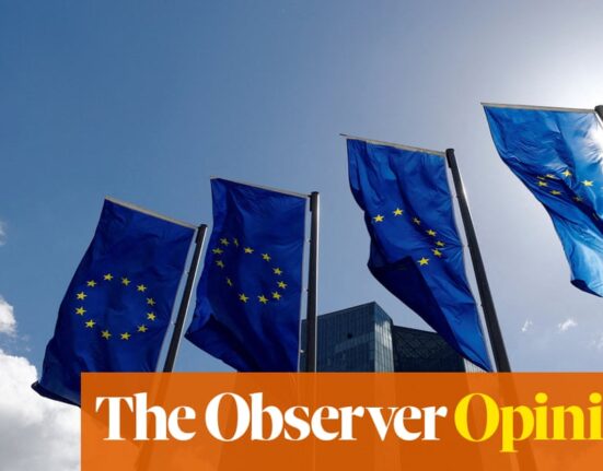 Without the EU, the joke is on us if Trump gets his tariffs | William Keegan