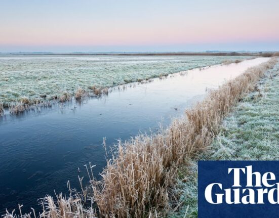 Canadian researchers trial nature trick to boost mood in winter | Science