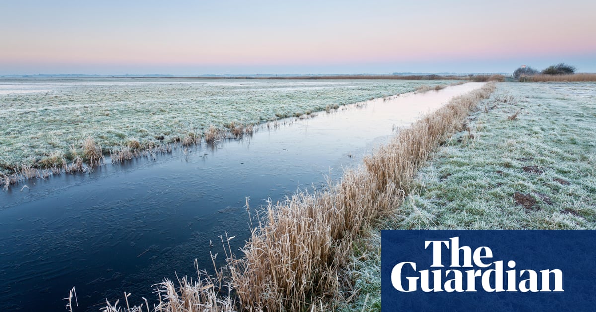 Canadian researchers trial nature trick to boost mood in winter | Science