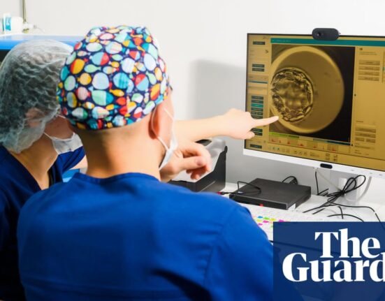 Limit on human embryo research should be extended to 28 days, says UK regulator | Embryos