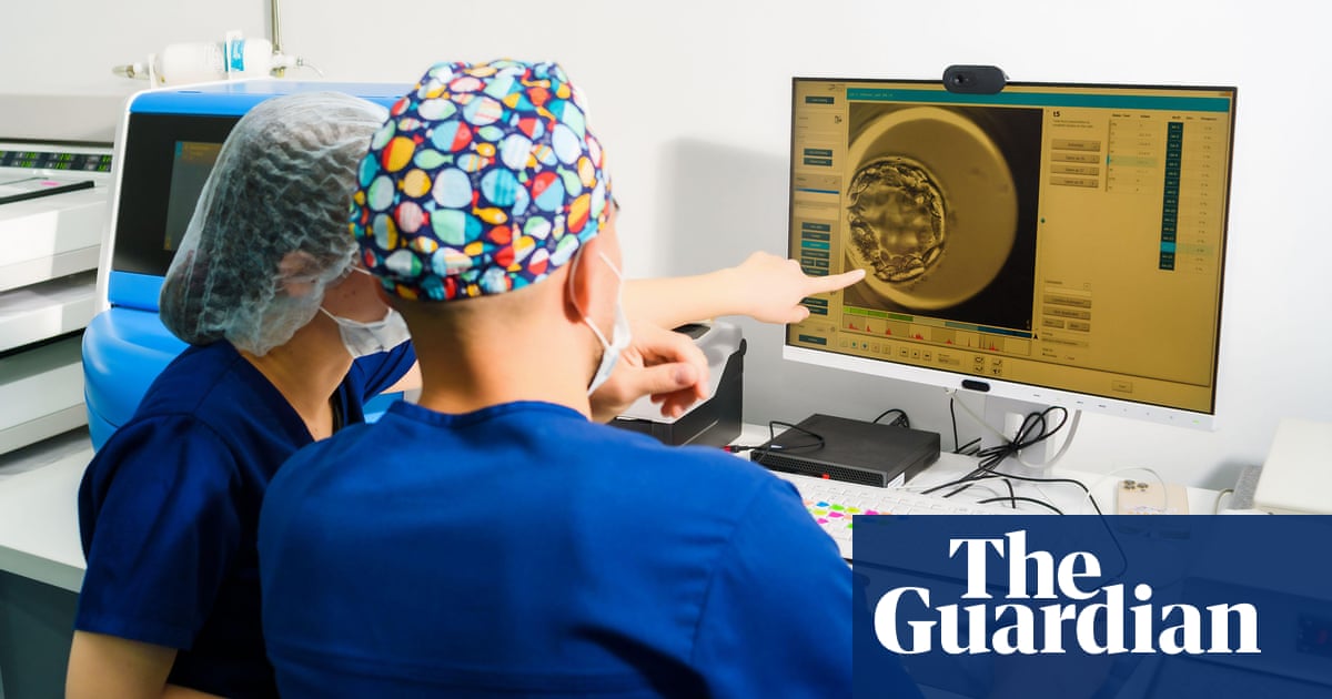 Limit on human embryo research should be extended to 28 days, says UK regulator | Embryos