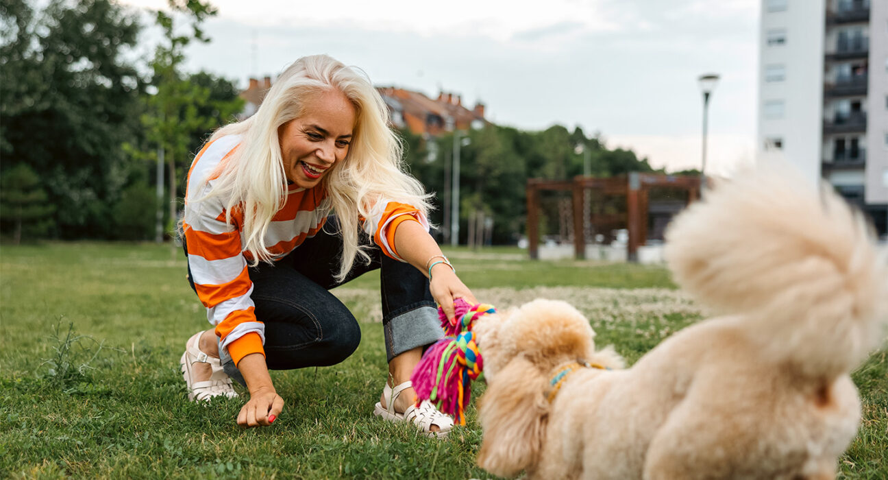 A woman with long white hair and a white and orange striped sweater is getting physical activity by playing tug of war with a fuzzy tan dog.