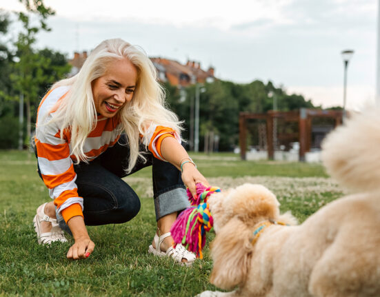 A woman with long white hair and a white and orange striped sweater is getting physical activity by playing tug of war with a fuzzy tan dog.