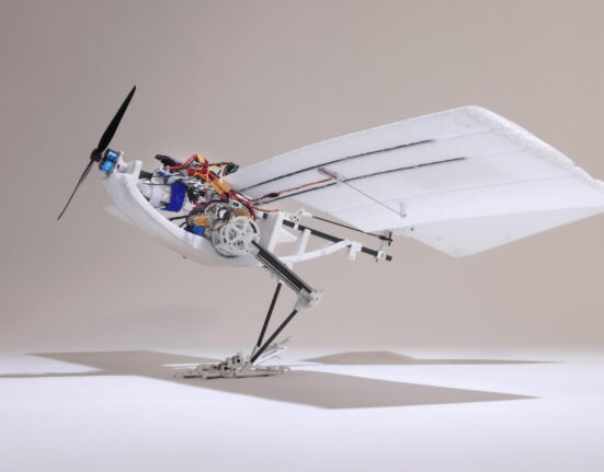 This bird-inspired drone is more energy efficient and proficient at complex flight maneuvers