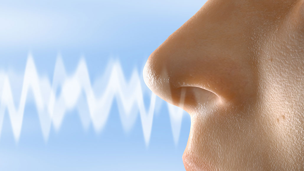 a computer illustration of a close up of a humam in profile, sniffing in a scent, illustrated as wavy white lines