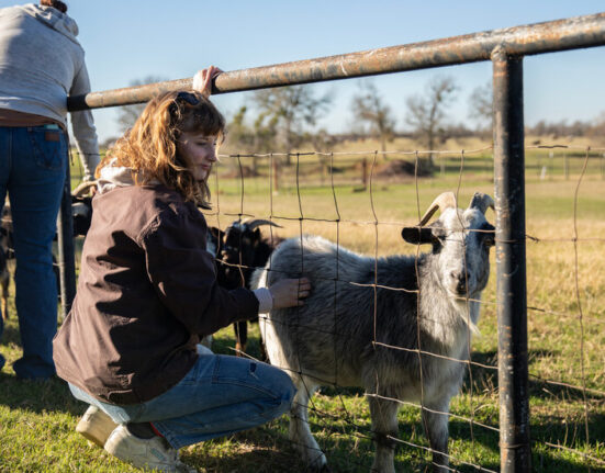 Kennedy’s Plan for the Drug Crisis: A Network of ‘Healing Farms’