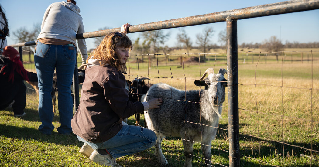 Kennedy’s Plan for the Drug Crisis: A Network of ‘Healing Farms’