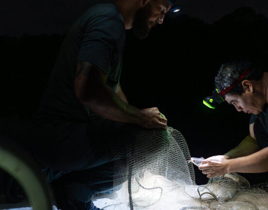 Panama Canal’s Expansion Opened Routes for Fish to Relocate